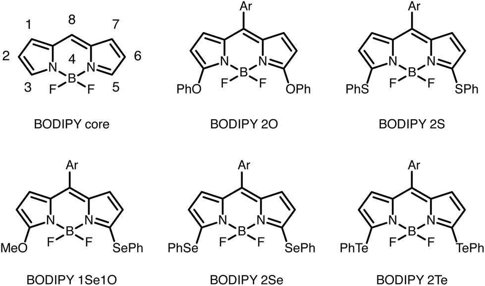 BODIPY 650/665 maleimide馬來酰亞胺