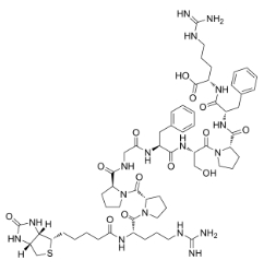 477319-71-4        Biotin-Bradykinin		