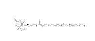 1374658-86-2       Biotin-PEG3-CH2-NH2	生物素-三聚乙二醇-亞甲基-氨基	