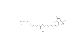 127062-22-0        Sulfo-NHS-LC-Biotin	       水溶生物素活性酯交聯(lián)劑，6-(生物素酰胺)己酸磺酸基琥珀酰亞胺酯鈉鹽	