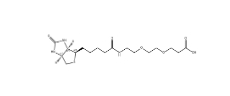 1365655-89-5        Biotin-PEG2-acid	生物素-PEG2-酸	