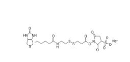 325143-98-4        Sulfo-NHS-SS-biotin，Sulfo-NHS-SS-Biotin sodium	        生物素-二硫鍵-磺酸-琥珀酰亞胺酯	