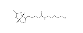 cas:811442-85-0           Biotin-PEG1-amine/生物素一聚乙二醇氨基