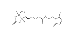 CAS ：139554-72-6          生物素 C2 馬來酰亞胺 