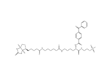 910036-44-1        甲基硫代磺酸2-[Nα-苯甲酰基苯甲酰氨基-N6-（6-生物素氨基己酰基）-L-賴氨酰胺基]乙基