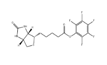 120550-35-8        Biotin-PFP	       (+)-生物素-PFP-酯	