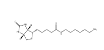 65953-56-2         Biotin-C6-amine	       N-生物素基-1,6-己二胺	