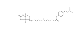 [CAS 83592-10-3]	      3-(4-(N-Biotinoyl-6-aminocaproyloxy)phenyl)propionic Acid         3-(4-(N-生物素-6-氨基己羧基)苯基)丙酸