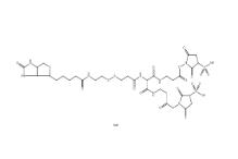 1044220-56-5               6-[2-Biotinylamidoethyl]-dithiopropionamido]-4,8-diaza-5,7-diketoundecanoic Acid, Bis-N-sulfosuccini		