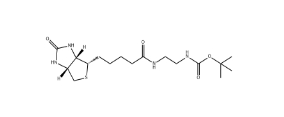  [CAS 225797-46-6]            N-Boc-Biotinylethylenediamine