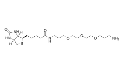 1374658-86-2          rel-Biotin-PEG3-C3-NH2	生物素-三聚乙二醇-亞甲基-氨基	