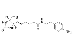 769933-15-5        Biotin-aniline，98%，25mg	生物素-苯胺	