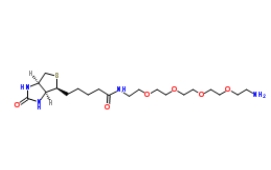 663171-32-2；（+）-Biotin-PEG4-CH2CH2NH2；生物素-五聚乙二醇-氨基