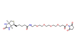 459426-22-3；（+）-Biotin-PEG4-NHS Ester；生物素-四聚乙二醇-NHS 酯