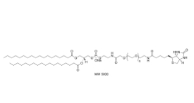 385437-57-0，Biotin-PEG2000-DSPE，DSPE-PEG2000-Bioti