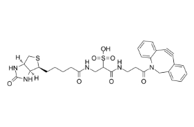 1363444-70-5；DBCO-Sulfo-link-biotin；二苯并環辛炔- 水溶性-連接生物素