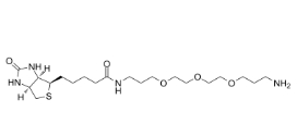 1374658-86-2,Biotin-PEG3-（CH2）3-NH2 TFA salt，生物素-三聚乙二醇-亞甲基-氨基