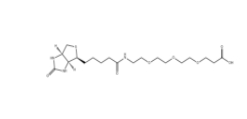 CAS:252881-76-8/Biotin-PEG3-COOH/生物素三聚乙二醇羧基