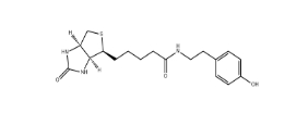 41994-02-9；Biotinyl tyramide；生物素基酪氨酰胺	