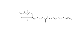 cas:1620523-64-9；Biotin-SS-azide；生物素-二硫-疊氮	