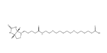 721431-18-1；Biotin-PEG4-COOH；15-[D-(+)-生物素氨基]-4,7,10,13-四氧雜十五烷酸	