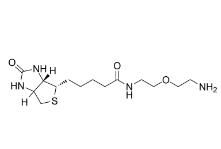 811442-85-0；Biotin-PEG1-amine；生物素-二聚乙二醇-氨基	