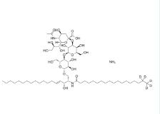 cas:2260669-91-6；12:0 生物素-18:1 PE 