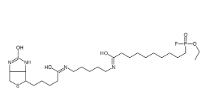 [CAS 259270-28-5]，F(xiàn)P-Biotin 