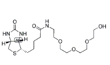 1322625-82-0，1-Biotinylamino-3,6,9-trioxaundecane-11-ol