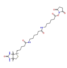  [CAS 89889-52-1]，Biotin-LC-LC-NHS，生物素-LC-LC-琥珀酰亞胺酯