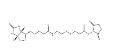 NHS-SS-biotin	、122266-55-1、2-[生物素氨基]乙基-1,3-二硫基丙酸磺基琥珀酰亞胺酯