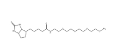 Biotin-PEG3-oxyamine、1786206-22-1、生物素-PEG3-氧胺鹽酸鹽