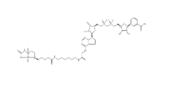 Biotin-NAD+、146385-37-7、生物素-NAD +