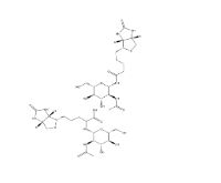 N-GlcNAc-生物素、1272755-69-7、2-乙酰氨基-2-脫氧-BETA-D-吡喃葡萄糖基氨基生物素