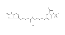 Sulfosuccinimidyl 6-(biotinamido)hexanoate 、127062-22-0、生物素酰氨基己酸-3-磺酸基-N-羥基琥珀酰亞胺酯