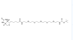 Biotin-PEG5-NH-Boc小分子PEG	189209-28-7	       生物素-PEG5-叔丁氧羰基