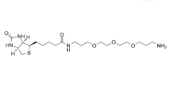 Biotin-PEG3-CH2-NH2	   1374658-86-2	           生物素-三聚乙二醇-亞甲基-氨基