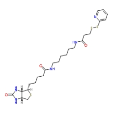 Biotin-HPDP,129179-83-5,雙硫鍵生物素交聯劑