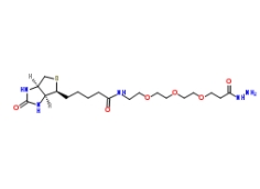 英文名稱(chēng)：	Biotin-PEG3-propionic hydrazide 中文名稱(chēng)：	生物素-PEG3-酰肼 MF：	C19H35N5O6S MW：	461.58 CAS：	1381861-94-4 描述	Biotin-PEG3-propionic hydrazide 是基于 PEG 結(jié)構(gòu)的 PROTAC linker,可以用來(lái)制備 PROTAC。 關(guān)于我們： 西安瑞禧生物科技有限公司是一家集研發(fā)，生產(chǎn)，銷(xiāo)售為一體的高科技企業(yè)，可提供合成磷脂、高分子聚乙二醇衍生物、嵌段共聚物、順磁/超順磁性納米顆粒、納米金及納米金棒、近紅外熒光染料、活性熒光染料、熒光標(biāo)記的葡聚糖BSA和鏈霉親和素、蛋白交聯(lián)劑、小分子PEG衍生物、點(diǎn)擊化學(xué)產(chǎn)品、樹(shù)枝狀聚合物、環(huán)糊精衍生物、大環(huán)配體類(lèi)、熒光量子點(diǎn)、透明質(zhì)酸衍生物、石墨烯或氧化石墨烯、碳納米管、富勒烯等等，可以滿足不同客戶(hù)的定制需求。 描述： 規(guī)格：1mg 5mg 10mg 純度：99% 狀態(tài)：固體/溶液 用途：科研！ 溫馨提示：僅用于科研，不能用于人體實(shí)驗(yàn)！ 廠家：西安瑞禧生物科技有限公司 推薦產(chǎn)品： 1253286-56-4 122567-66-2 122266-55-1 122266-55-1 1221498-88-9 1217850-77-5 1217605-72-5 1217481-41-8 1217455-99-6 120550-35-8 120550-35-8 12:0 生物素-18:1 PE cas:2260669-91-6 11-巰基十一酸-(8-生物素酰胺基-3，6-二氧辛基)酰胺(MBDA) 119616-38-5,Sulfo-NHS-Biotin,NHS-SS-Biotin,142439-