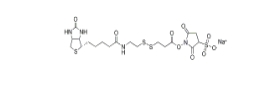 Sulfo-NHS-SS-biotin，Sulfo-NHS-SS-Biotin sodium、325143-98-4、生物素-二硫鍵-磺酸-琥珀酰亞胺酯