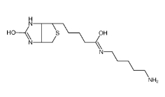 Biotin-Amine，115416-38-1，生物素氨基