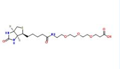 Biotin-PEG3-COOH/CAS; 252881-76-8；生物素三聚乙二醇羧基