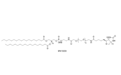 磷脂PEG生物素；385437-57-0；DSPE-PEG-Biotin