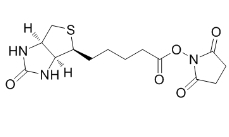 生物素-N-琥珀酰亞胺基酯；35013-72-0	；BIOTIN-NHS