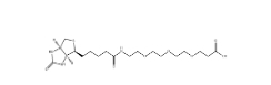 Biotin-PEG3-COOH，252881-76-8，(+)-生物素-PEG 3 -丙酸