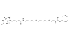 Biotin-PEG4-TCO；2183440-30-2；生物素-PEG4-TCO