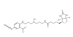 Photobiotin，96087-37-5，光生物素