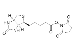 NHS Biotin；35013-72-0；(+)生物素-N-琥珀酰亞胺基酯