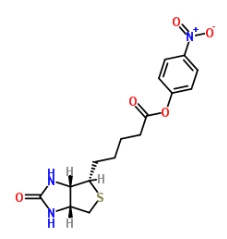 (+)-Biotin-ONP ((+)-Biotin 4-nitrophenyl ester)；33755-53-2；(+)-生物素4-硝基苯酯