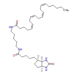 CAS號： 1217901-28-4；Arachidonic Acid-biotinamide